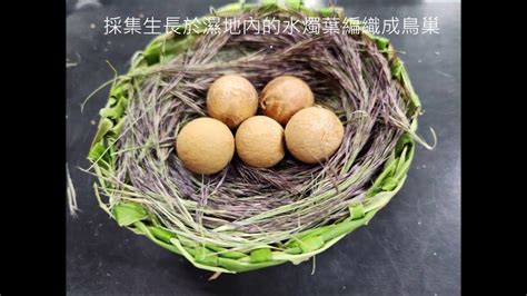 鳥巢怎麼畫|手編出來的‘’鳥巢‘’手工編織教程diy最新制作